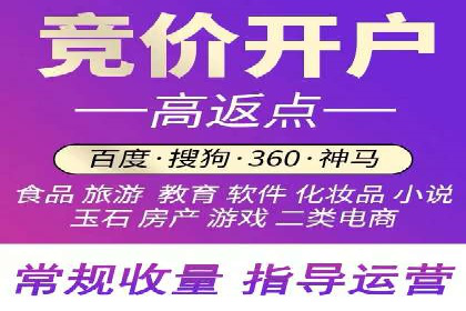 百度广告投放技巧与案例分享